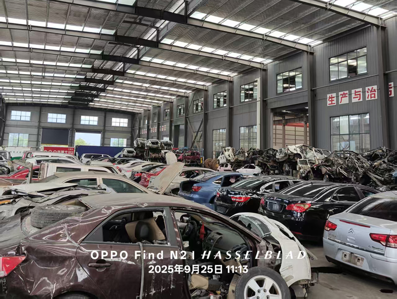 ����ɳ��������Ϲ�˾