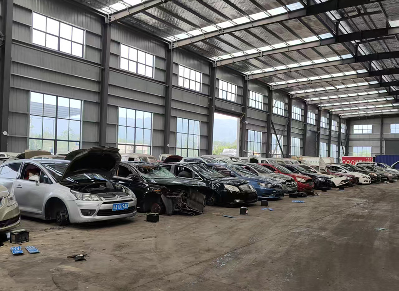 ����������������ж�ֳ�